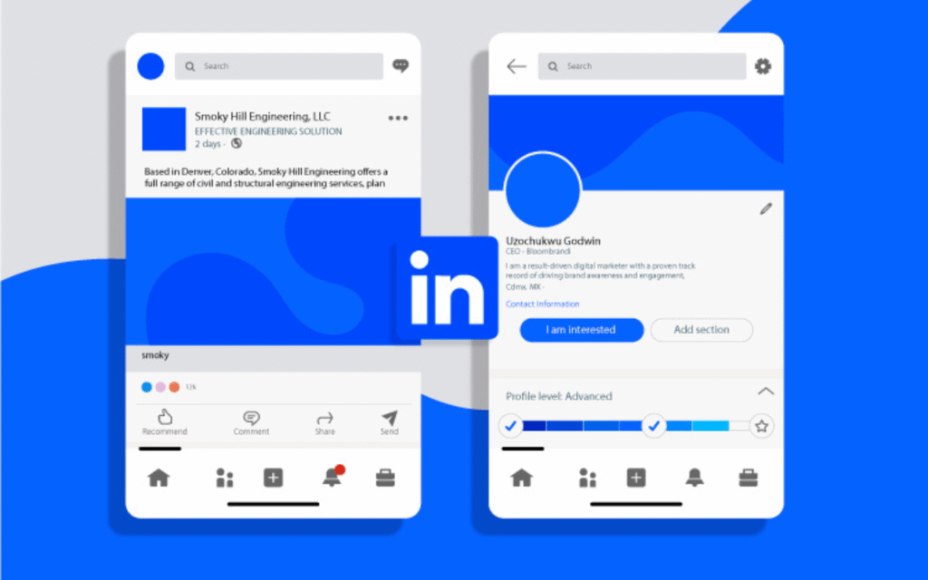 LinkedIn Profile Management