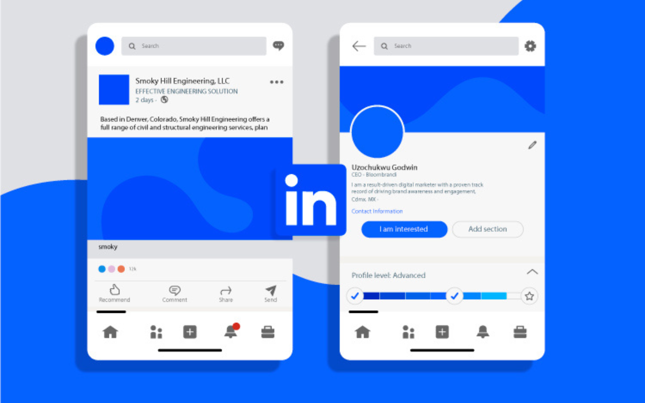 LinkedIn Profile Management